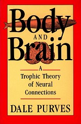 Body and brain. A trophic theory of neural connections.
