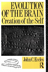 Evolution of the brain. Creation of the self