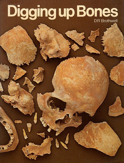 Digging Up Bones
