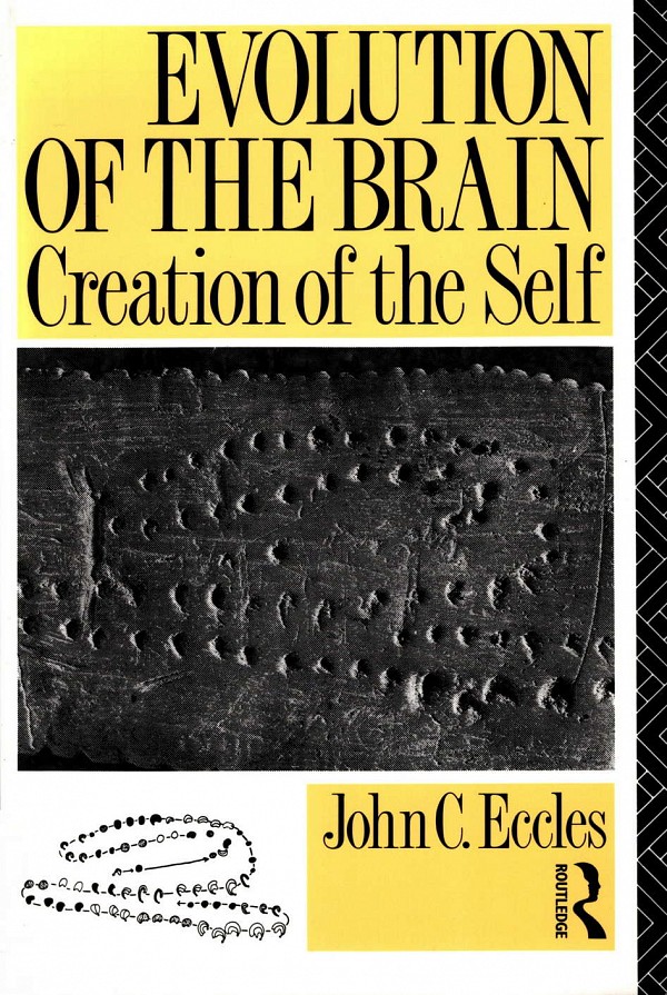 Evolution of the brain. Creation of the self