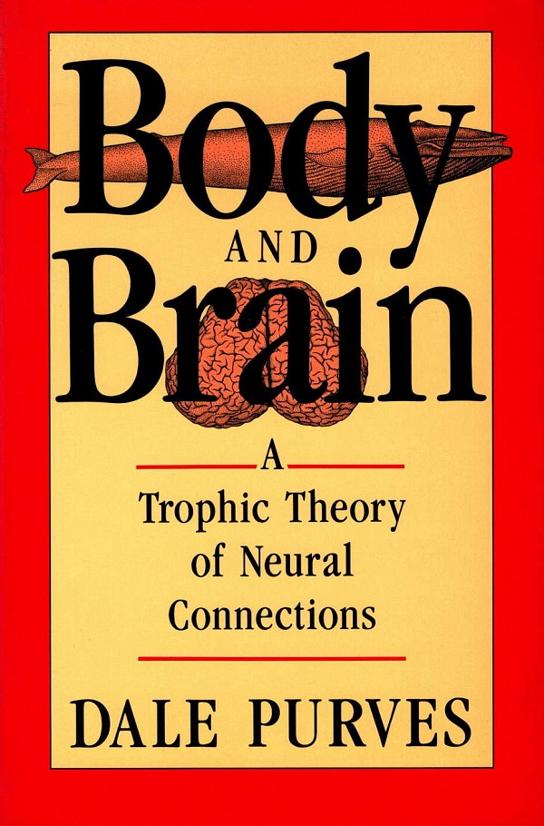 Body and brain. A trophic theory of neural connections.