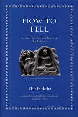 How to Feel. An Ancient Guide to Minding Our Emotions